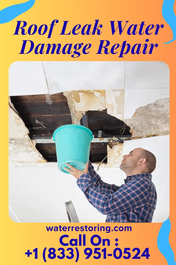 Roof Leak Water Damage Repair in Springs, NY